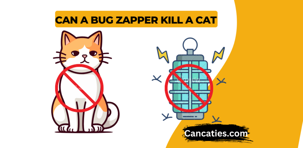 Can a Bug Zapper Kill a Cat?