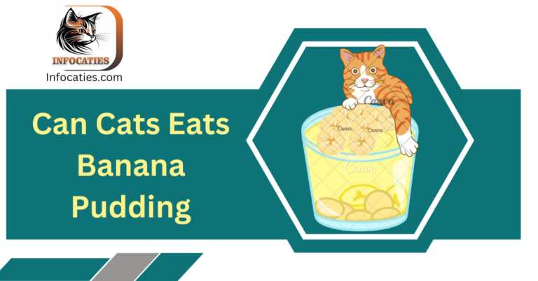 Can Cats Eat Banana Pudding? Unraveling the Feline Culinary Mystery