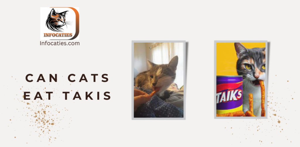 Can Cats Eat Takis? 