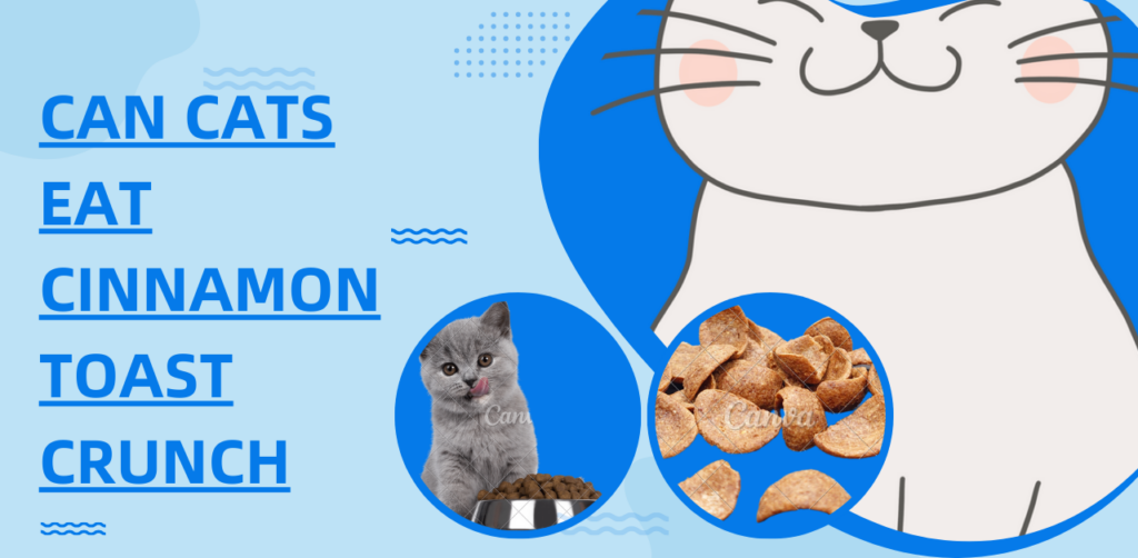 Can Cats Eat Cinnamon Toast Crunch? Unveiling Culinary Curiosity