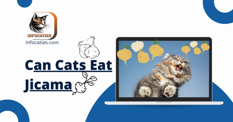 Can Cats Safely Munch on Jicama? Unveiling the Truth