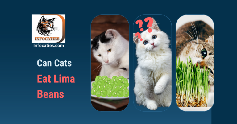 Can Cats Eat Lima Beans? Unveiling the Truth about Feline Nutrition