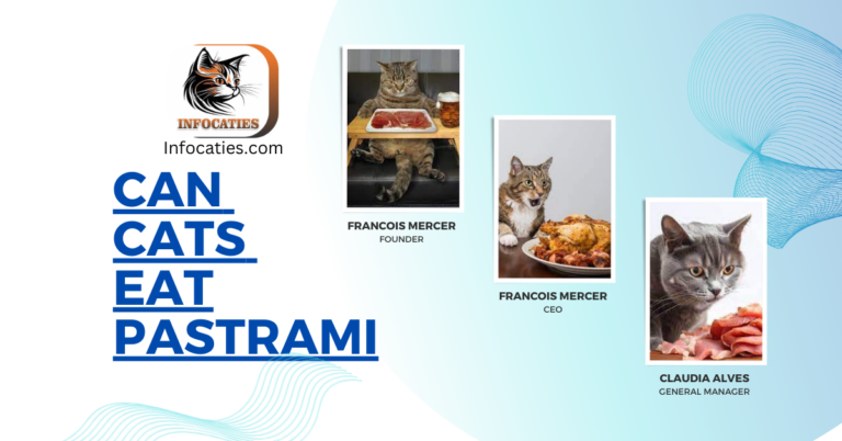 Can Cats Eat Pastrami? A Comprehensive Guide to Feline Diets