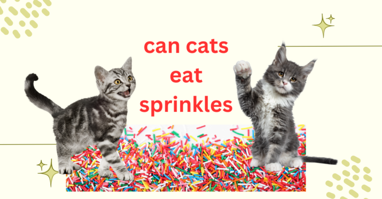 Can Cats Eat Sprinkles? Unveiling the Feline Culinary Mystery